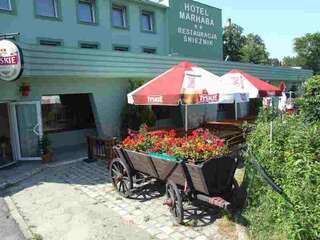 Фото Отель Hotel Śnieżnik г. Клодзко